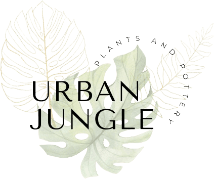Urban Jungle Plants and Pottery