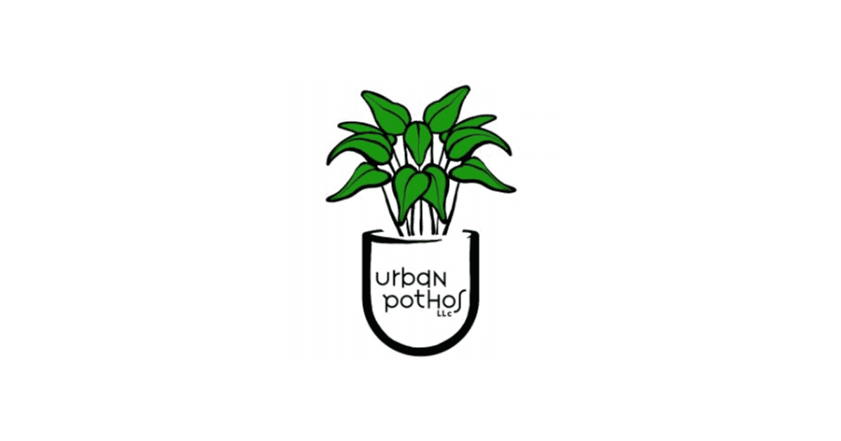 Urban Pothos Houseplant Shop