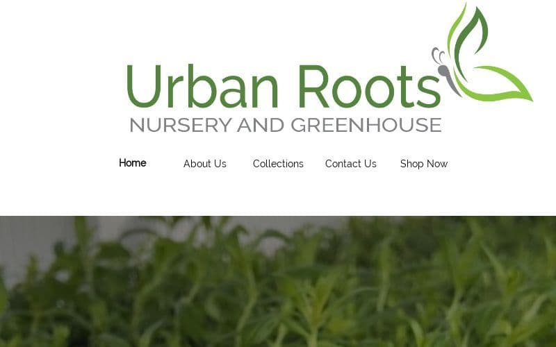 Urban Roots Nursery