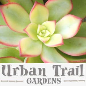 Urban Trail Gardens