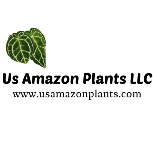 Us Amazon Plants LLC