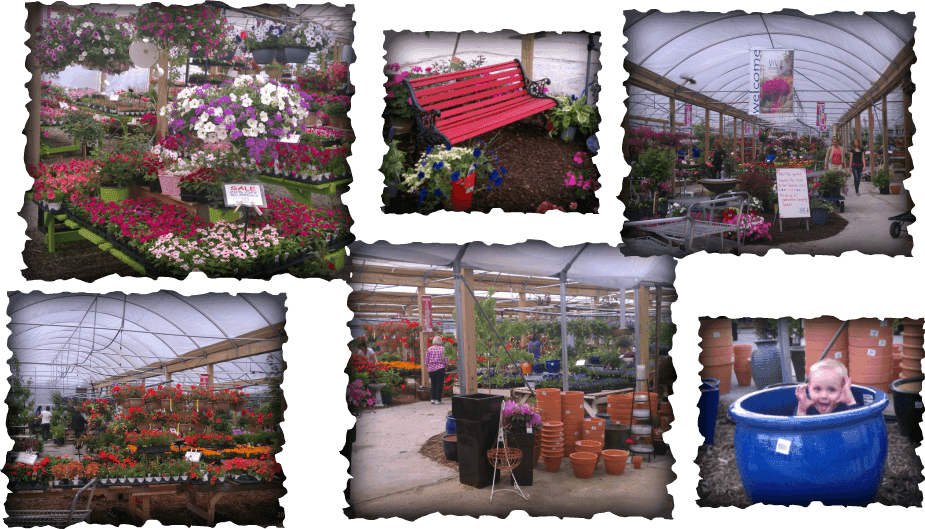 V & V Nursery