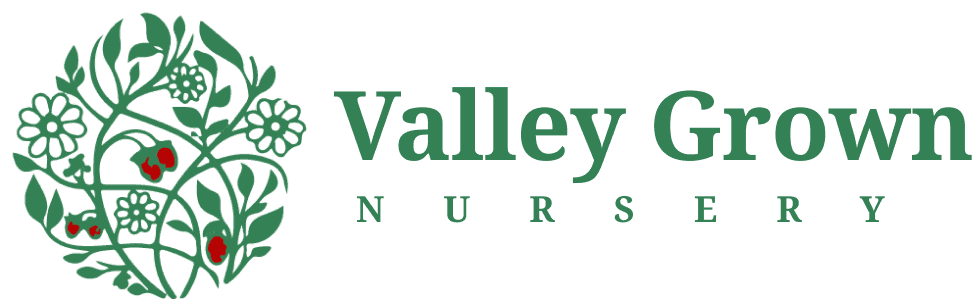 Valley Grown Nursery