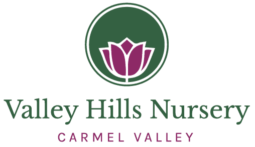 Valley Hills Nursery