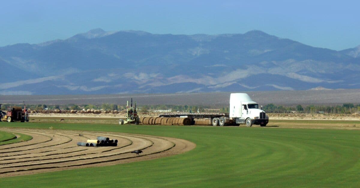 Valley Sod Farms