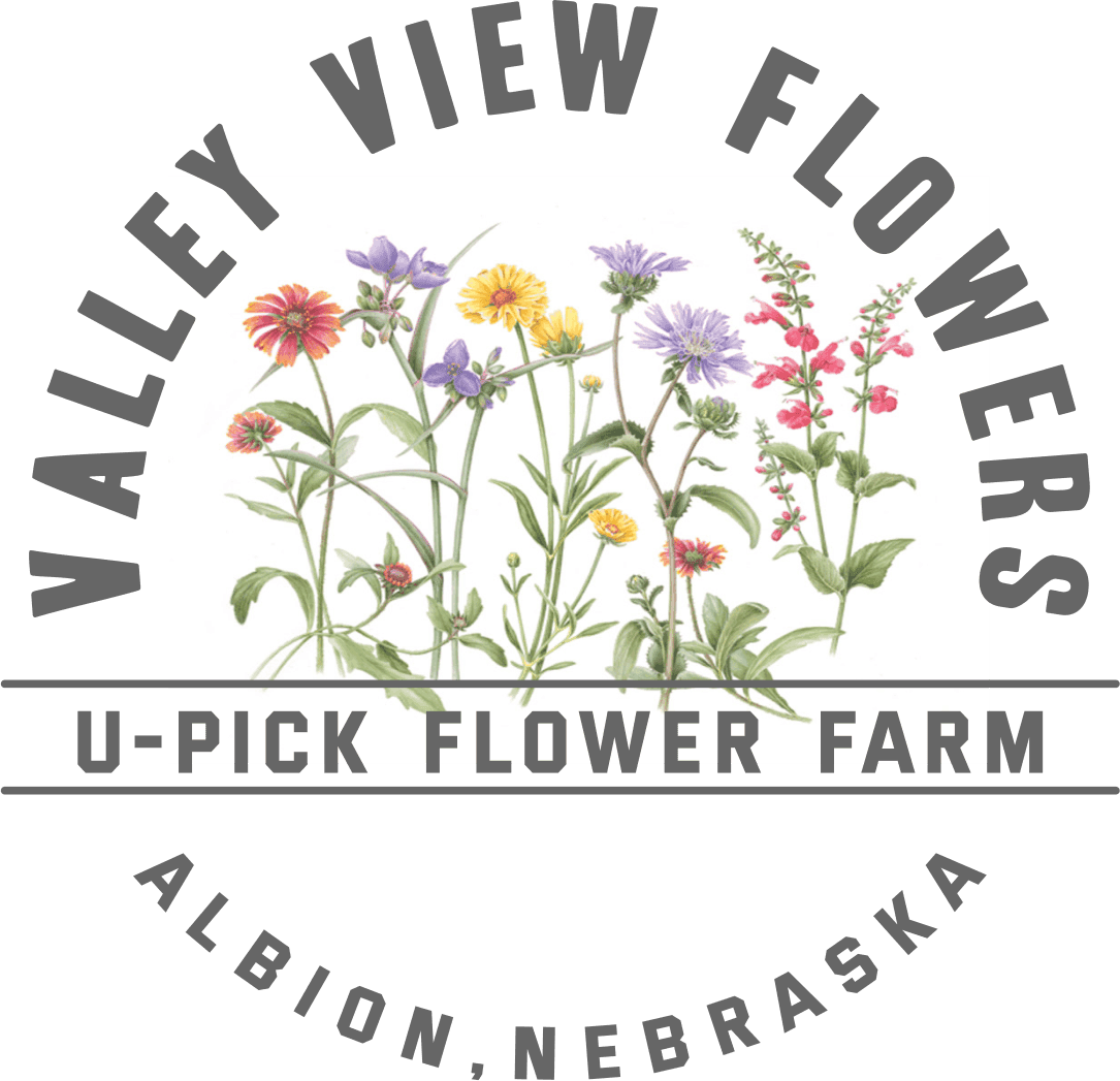 Valley View Flowers (U-Pick Flowers)