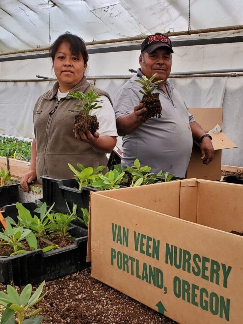 Van Veen Nursery
