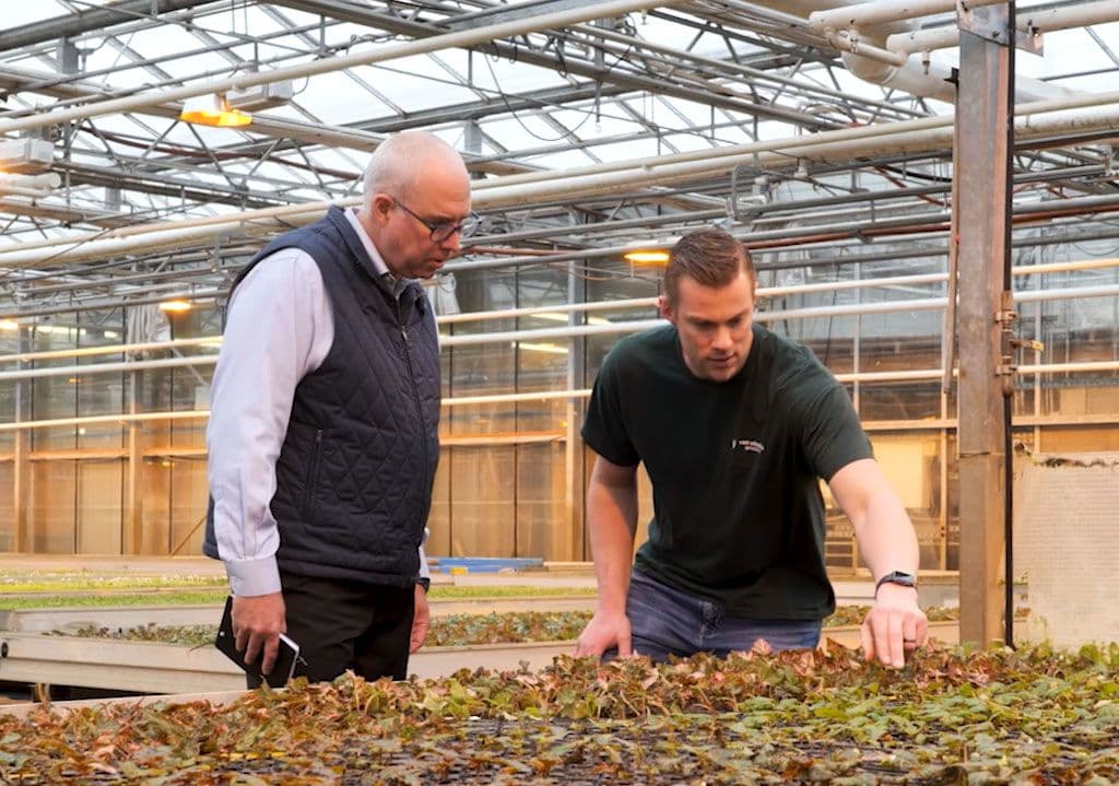 Van Wingerden Greenhouses