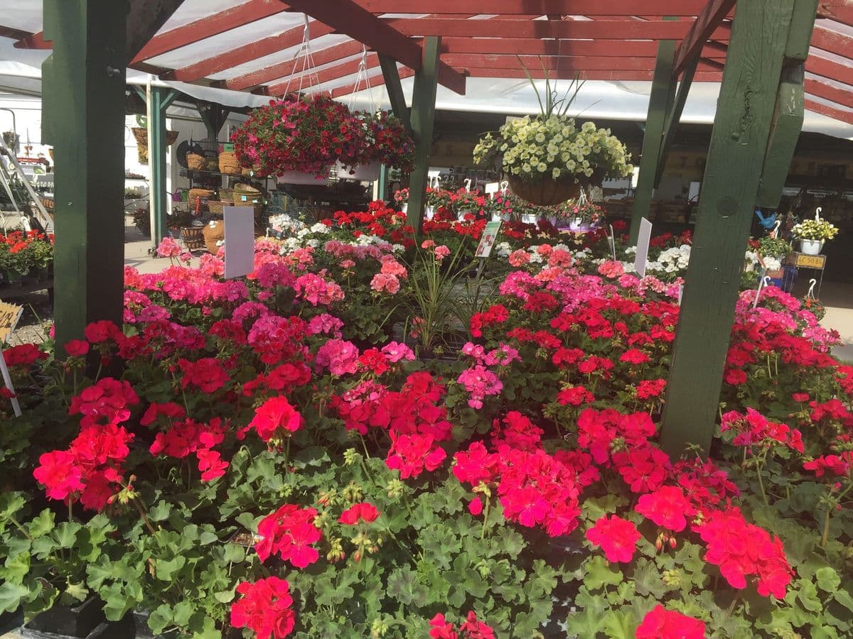 Van's Valley Greenhouse