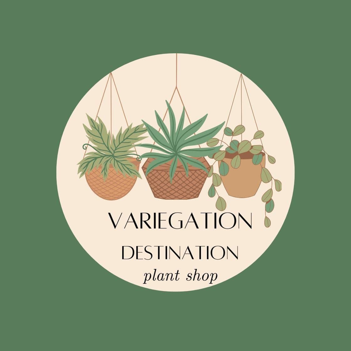 Variegation Destination
