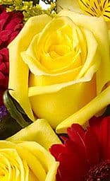 Vaughn's Flowers & Gifts