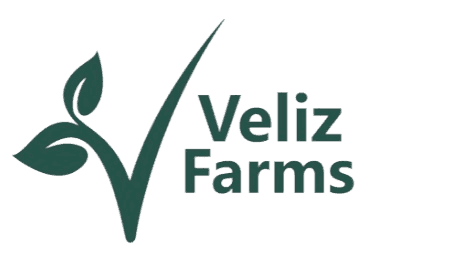 Veliz Farms - Plant Nursery