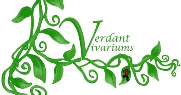 Verdant Vivariums