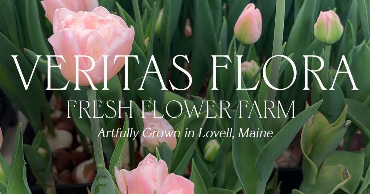 Veritas Flora