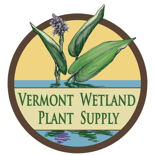 Vermont Wetland Plant Supply
