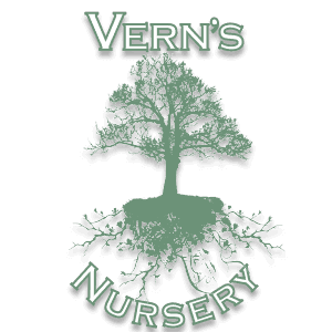 Vern's Nursery