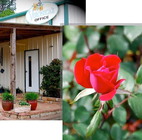 Veronica's Nursery LLC
