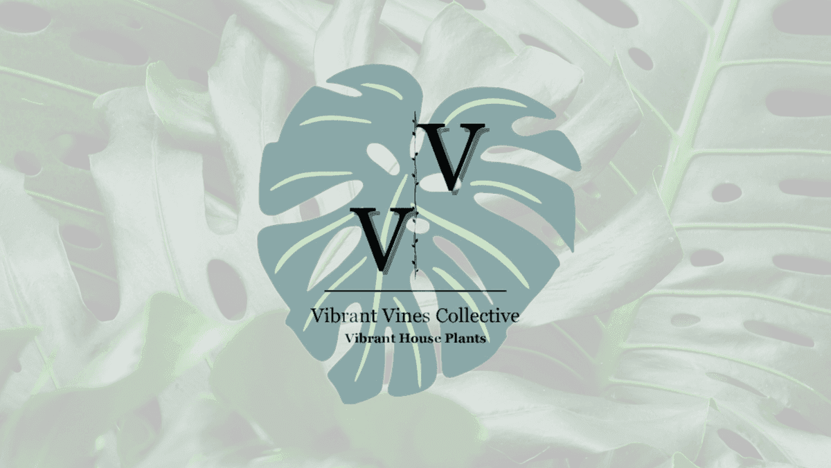 Vibrant Vines Collective LLC