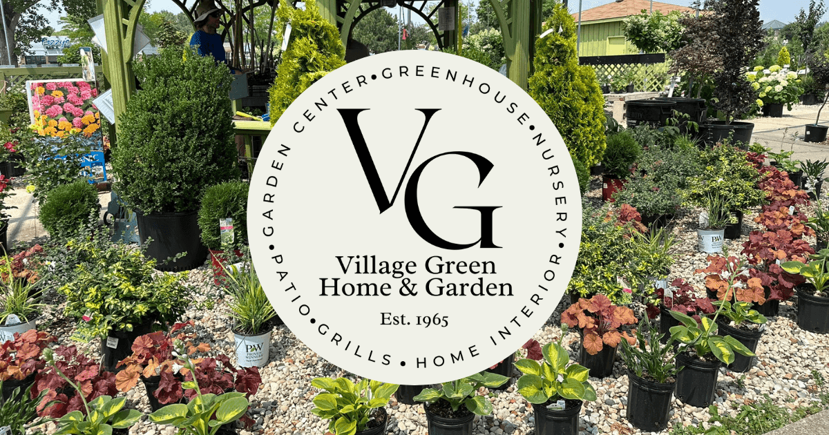 Village Green North Main