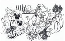 Village Green Nurseries Inc