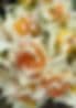 Village Grown Flower Farm