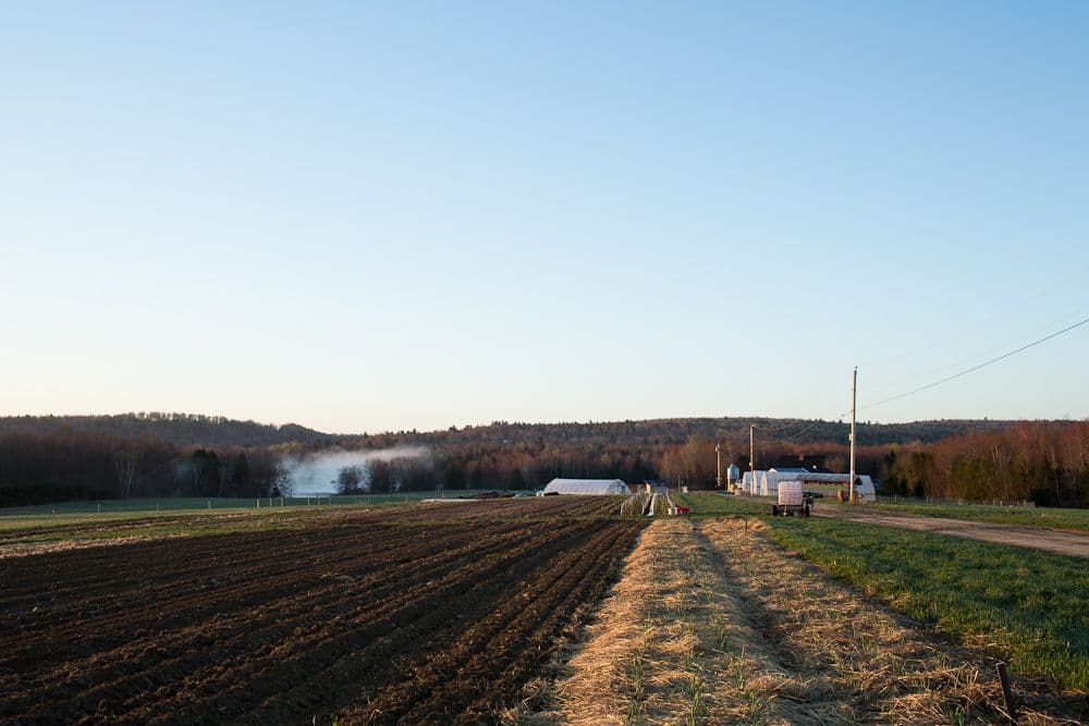 Villageside Farm