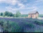 Vine Gate Lavender Floral Farm