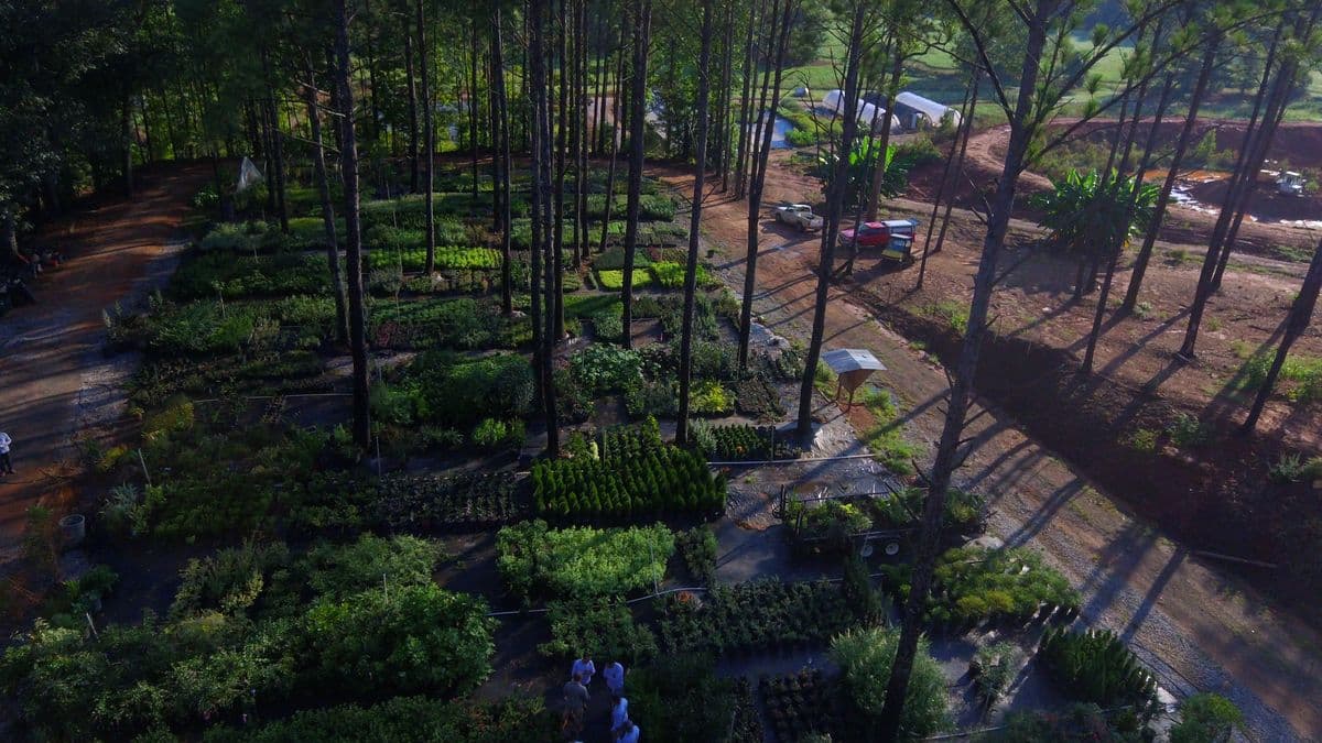 Vision Landscaping & Associates, Inc.