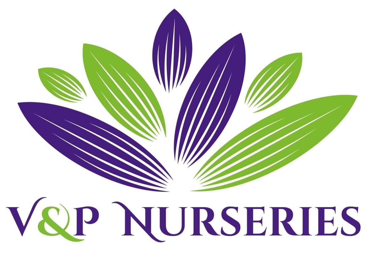 V&P Nurseries, Inc.