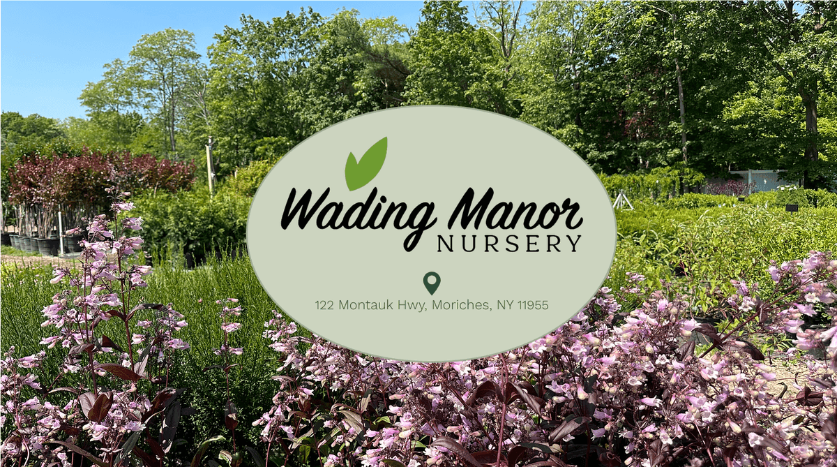 Wading Manor Nursery