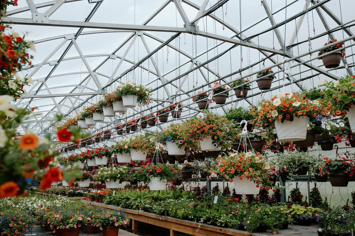 Wagenmaker Greenhouses
