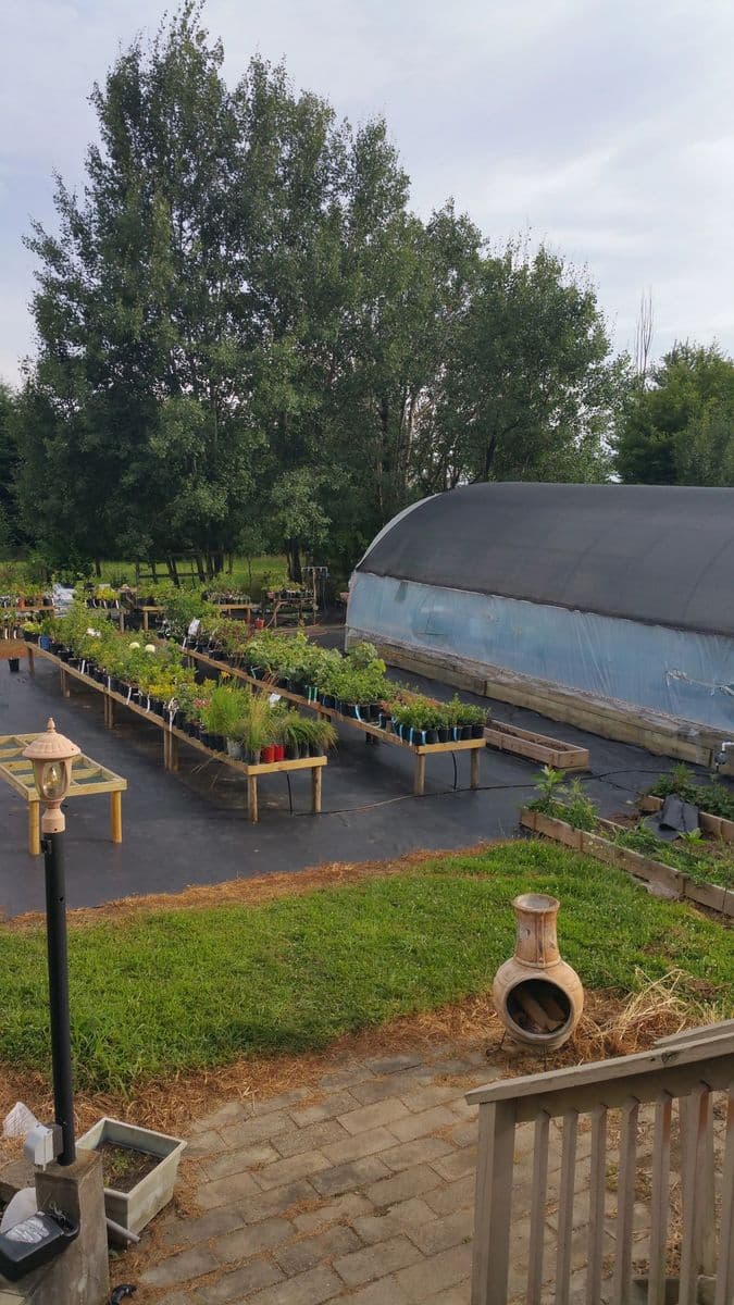 Wagner Family Nursery