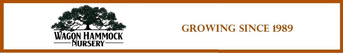 Wagon Hammock Nursery Inc