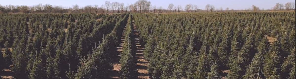 Wahmhoff Farms