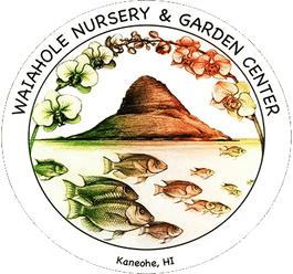 Waiahole Nursery & Garden Center