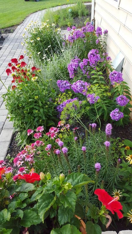 Wakefield Valley Nursery
