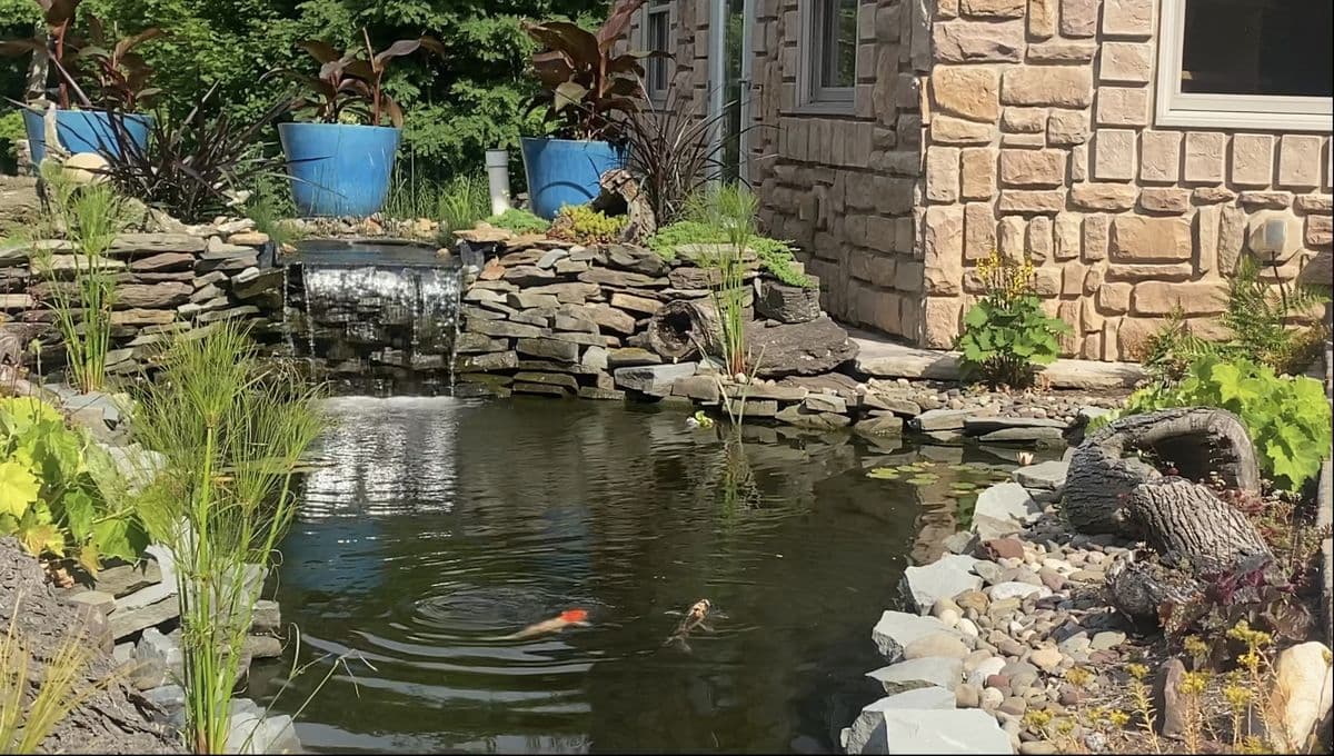 Walck's Beechwood Gardens