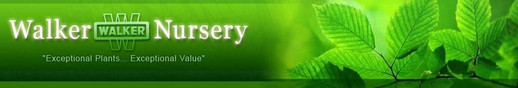 Walker Nursery Co