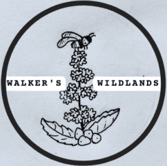 Walkers Wildlands