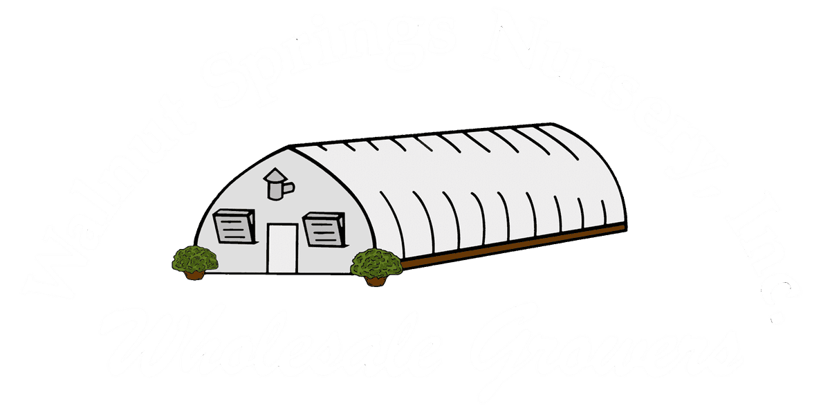 Walnut Springs Nursery