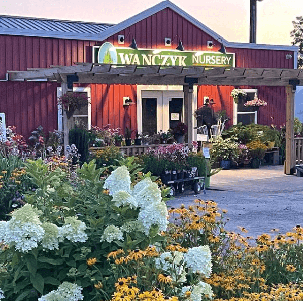 Wanczyk Evergreen Nursery