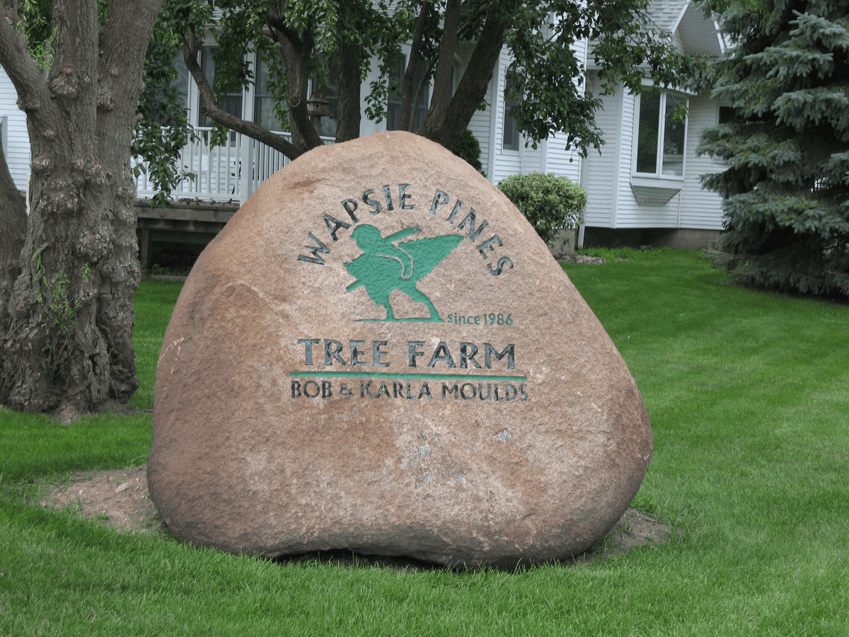 Wapsie Pines Tree Farm