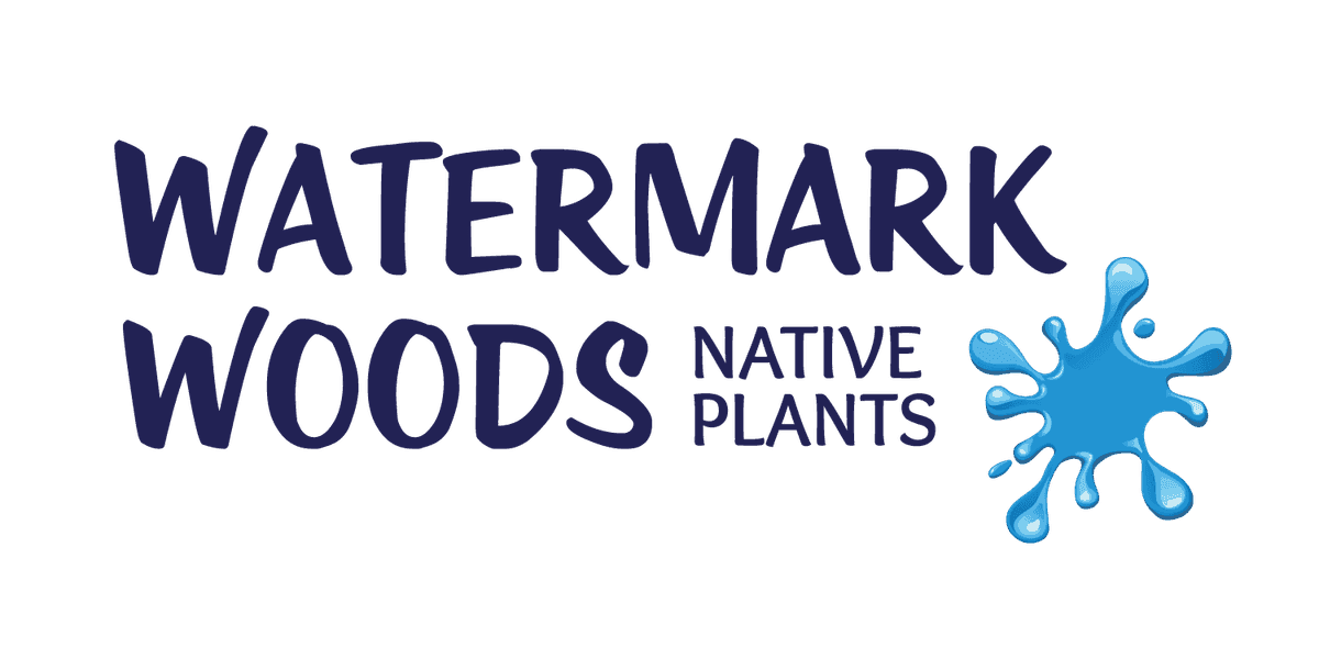 Watermark Woods