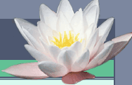Water's Edge Gift, Garden & Pond Center
