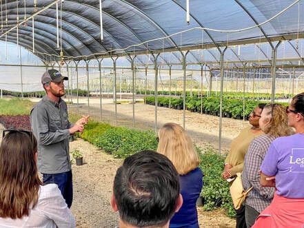 Waters Nursery