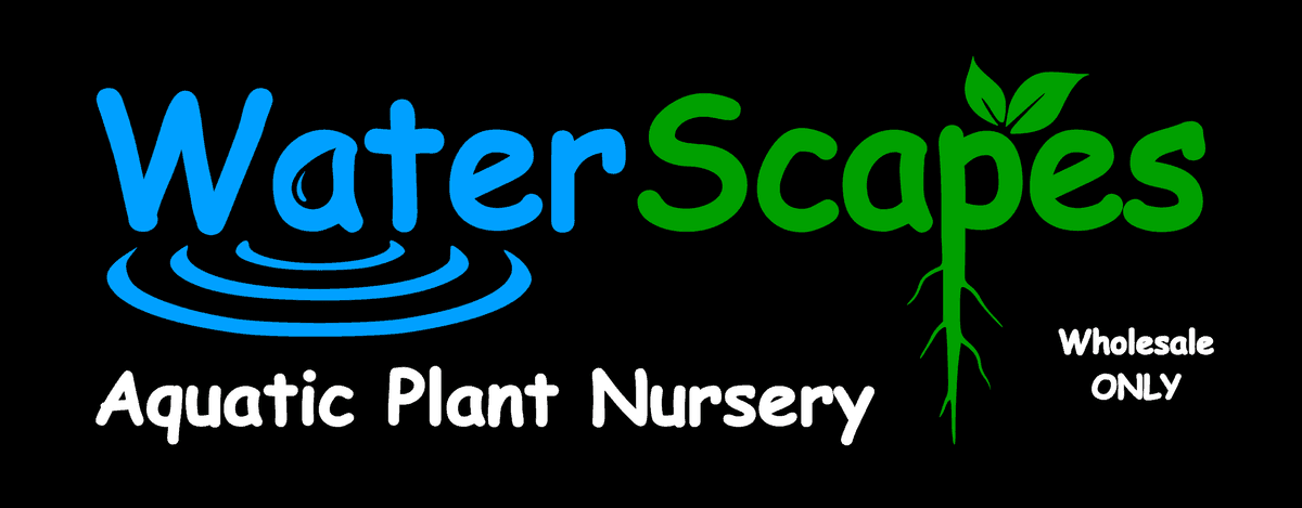 Waterscapes Nursery