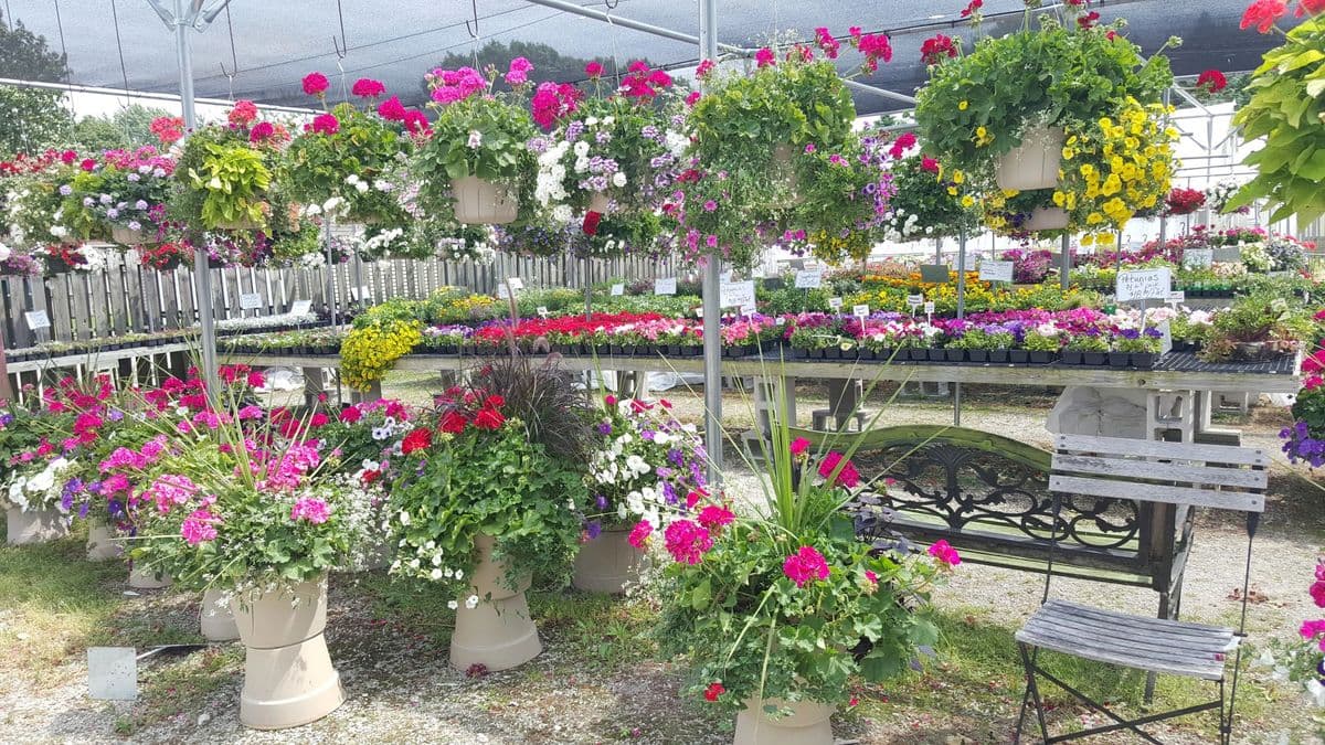 Watertown Greenhouse
