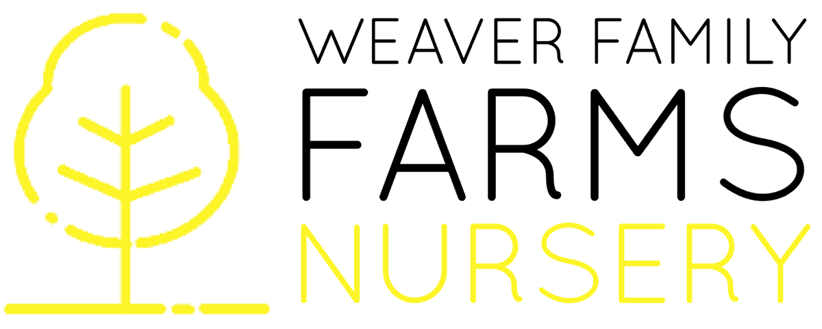Weaver Family Farms Nursery