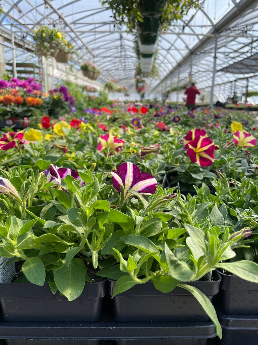 Weesies Brothers Garden Centers & Landscaping
