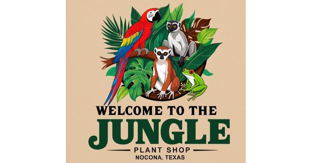 Welcome to the Jungle